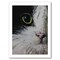 Tuxedo Cat by Michael Creese Frame  - Americanflat